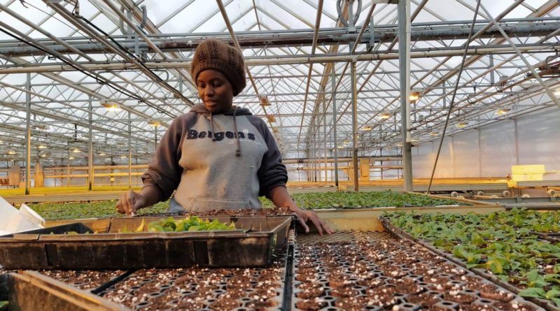 From Kenya to the United States, Meet CAEP Horticulture Exchange Visitor Ivy Gathoni
