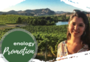 CAEP Enology Promotion