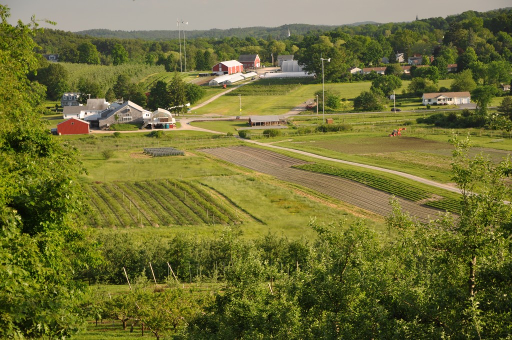 Cider Hill CAEP Blog