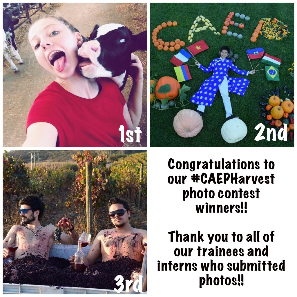 #caepharvest photo contest winners