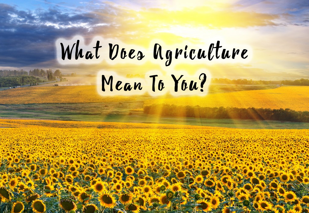 what-agriculture-means-to-you-around-the-world-edition-caep-blog