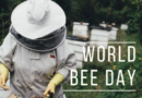 Happy World Bee Day!