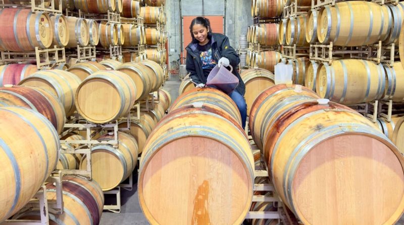 A Journey of Growth and Innovation: Prajakta’s CAEP Winemaking Journey at Maryhill Winery