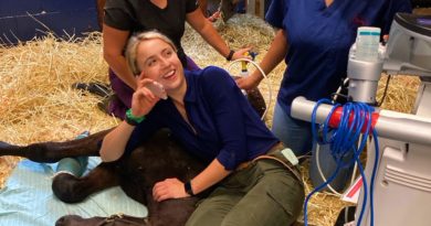 From Ireland to the USA, Meet CAEP Equine Intern Julie Edmondson