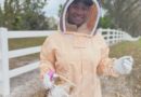 Celebrating World Bee Day with CAEP: Why Bees Matter More Than Ever