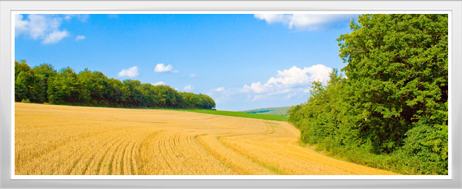 Field Crops Training Program